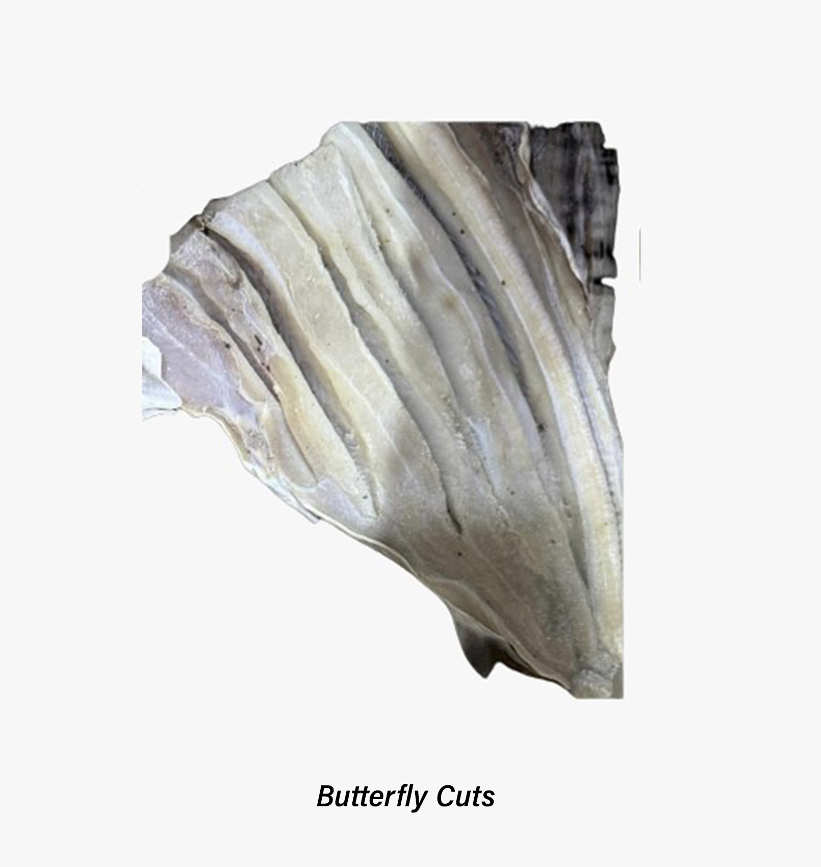 Butterfly Cuts
