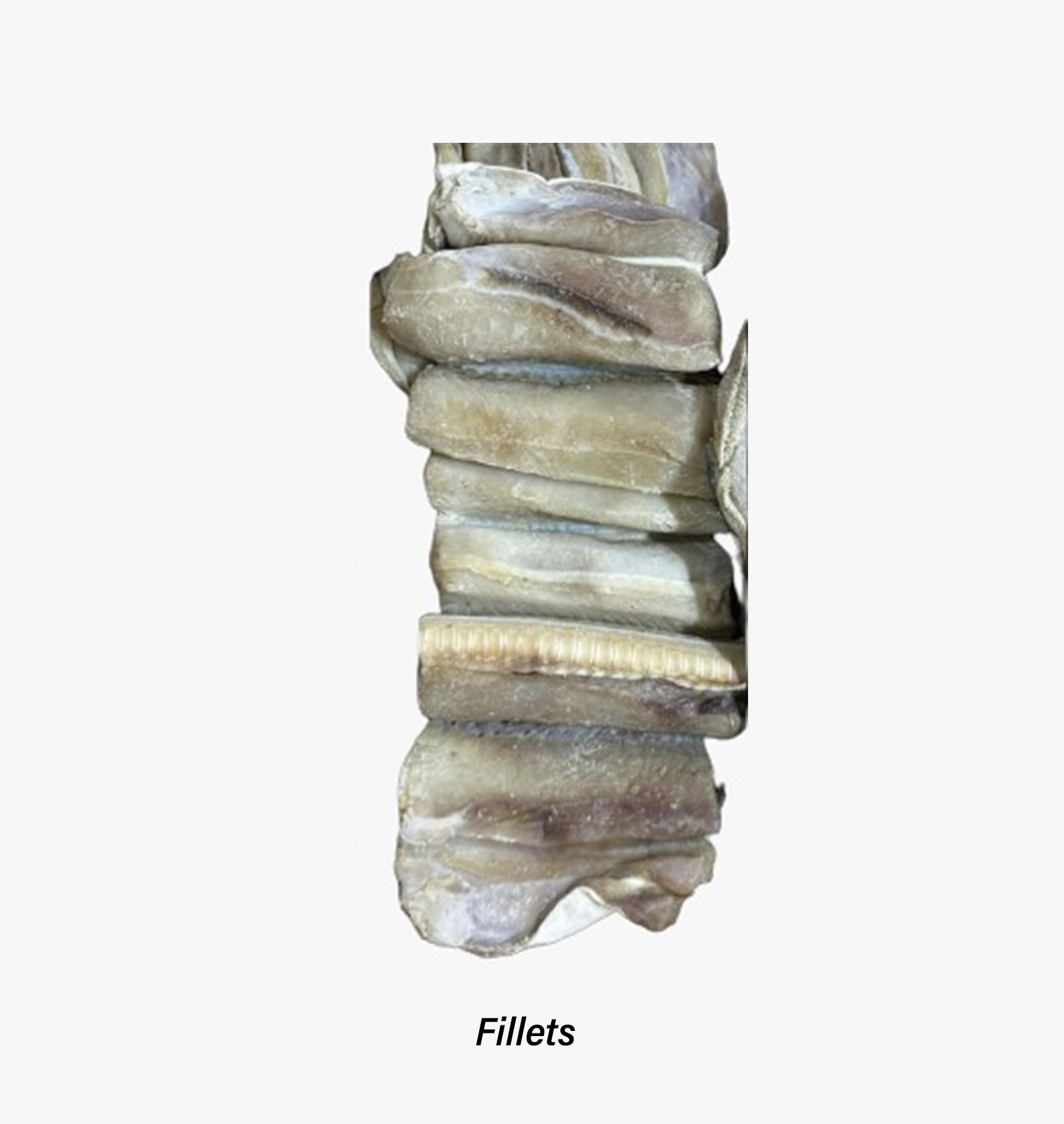 Fillets